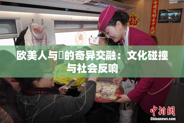 欧美人与嘼的奇异交融：文化碰撞与社会反响