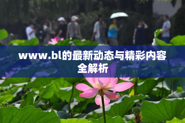 www.bl的最新动态与精彩内容全解析