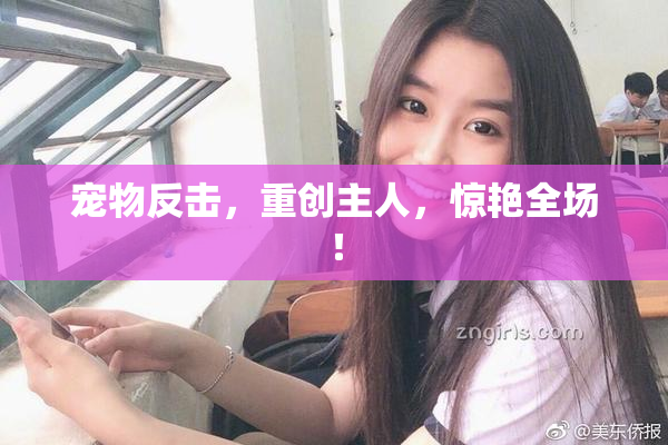 宠物反击，重创主人，惊艳全场！