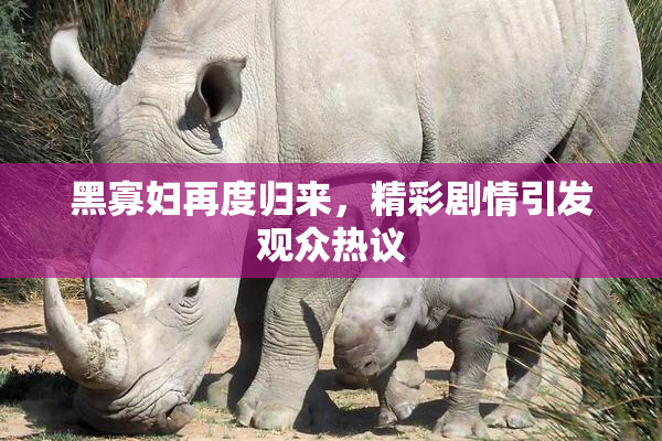 黑寡妇再度归来，精彩剧情引发观众热议