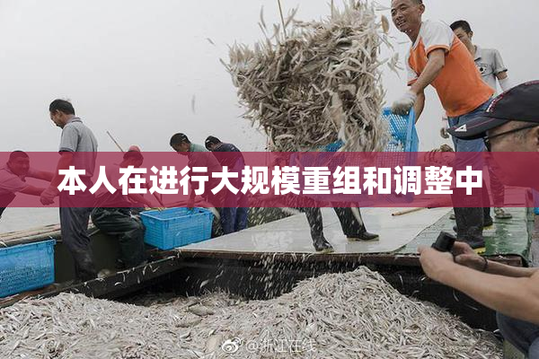 本人在进行大规模重组和调整中