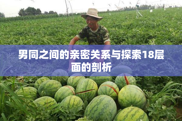 男同之间的亲密关系与探索18层面的剖析