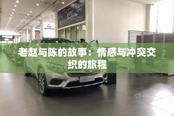 老赵与陈的故事：情感与冲突交织的旅程