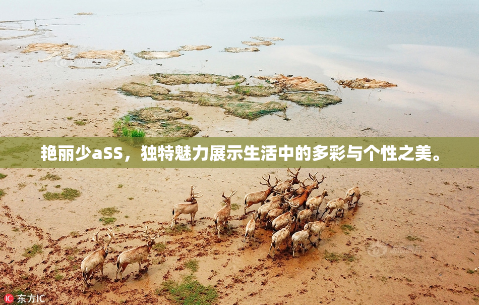 艳丽少aSS，独特魅力展示生活中的多彩与个性之美。