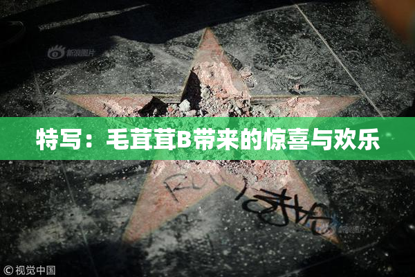 特写：毛茸茸B带来的惊喜与欢乐