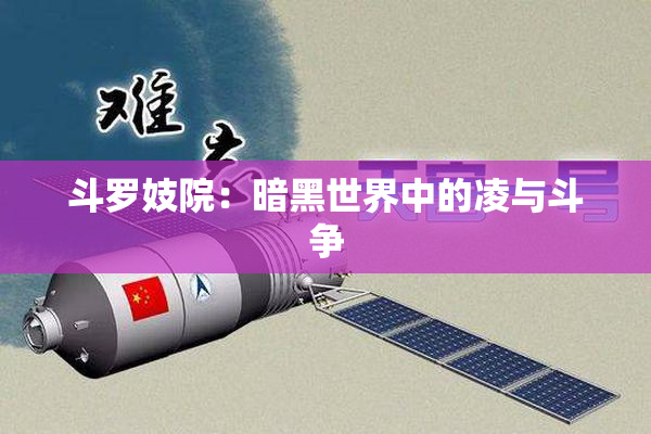 斗罗妓院：暗黑世界中的凌与斗争