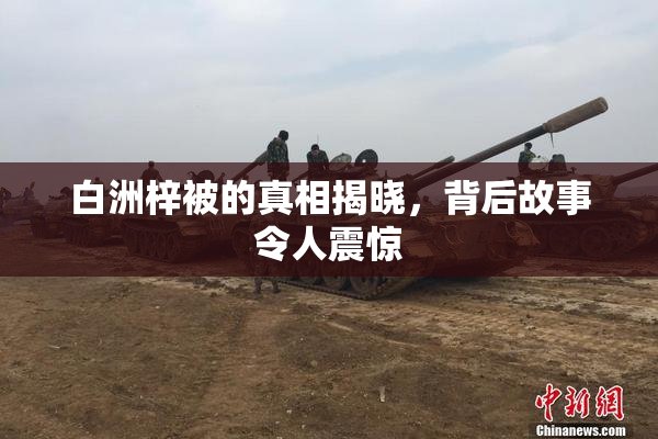 白洲梓被的真相揭晓，背后故事令人震惊