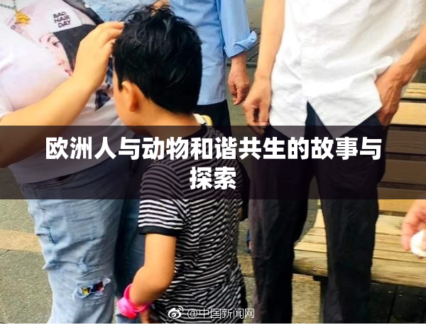欧洲人与动物和谐共生的故事与探索