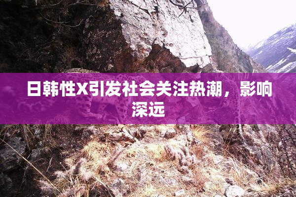 日韩性X引发社会关注热潮，影响深远