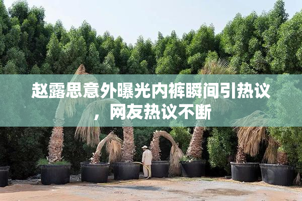 赵露思意外曝光内裤瞬间引热议，网友热议不断