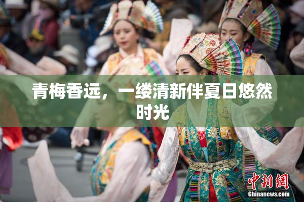 青梅香远，一缕清新伴夏日悠然时光