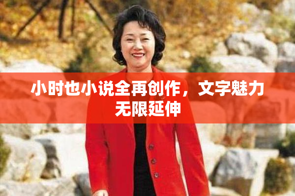 小时也小说全再创作，文字魅力无限延伸