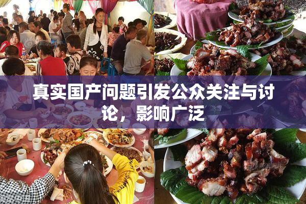 真实国产问题引发公众关注与讨论，影响广泛
