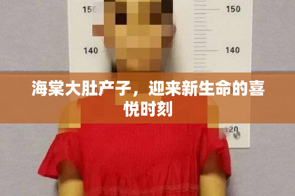 海棠大肚产子，迎来新生命的喜悦时刻