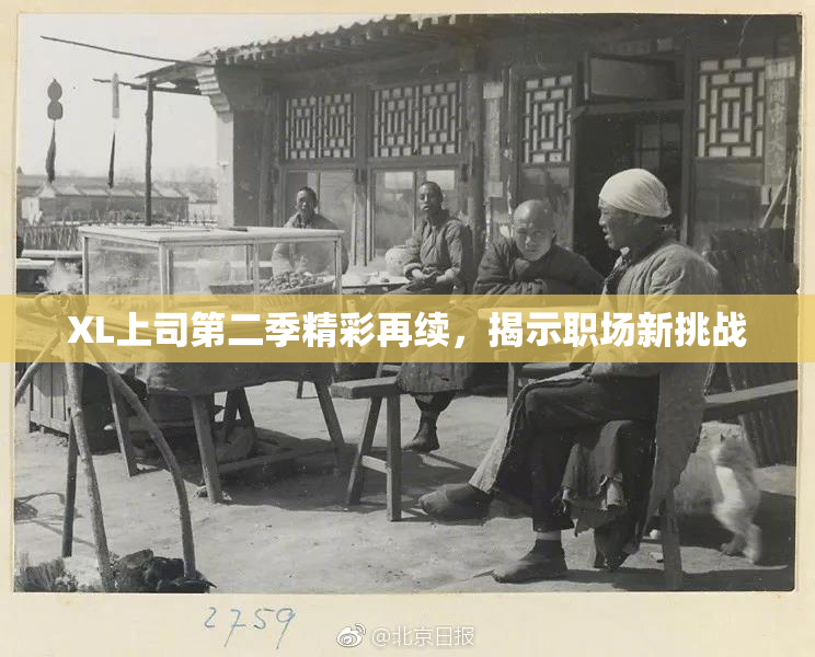 XL上司第二季精彩再续，揭示职场新挑战