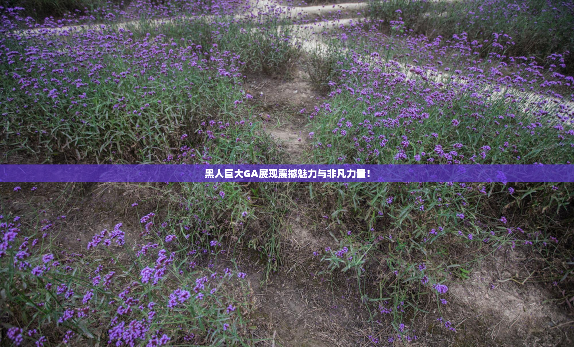黑人巨大GA展现震撼魅力与非凡力量！