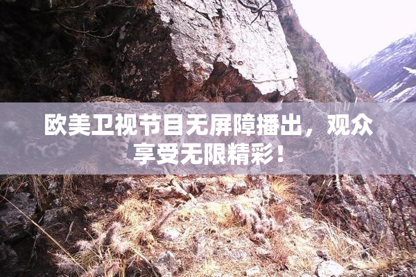 欧美卫视节目无屏障播出，观众享受无限精彩！
