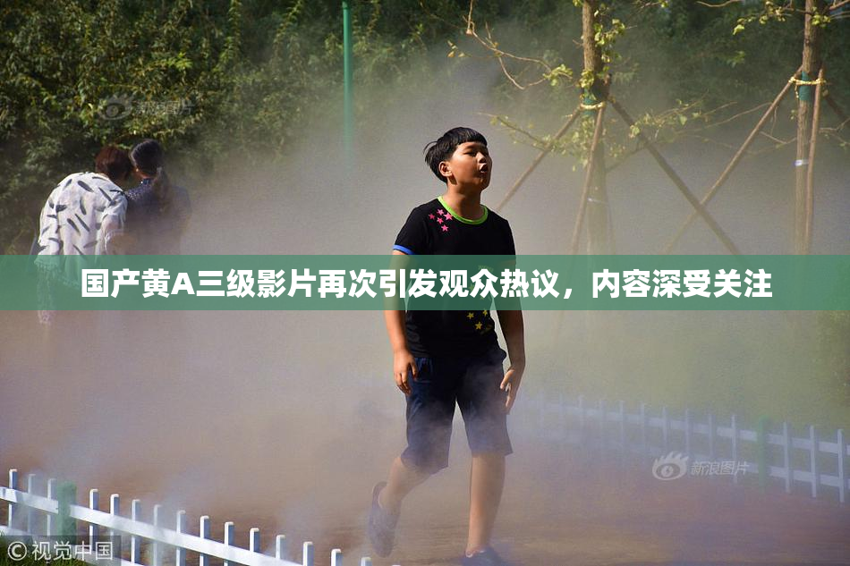 国产黄A三级影片再次引发观众热议，内容深受关注
