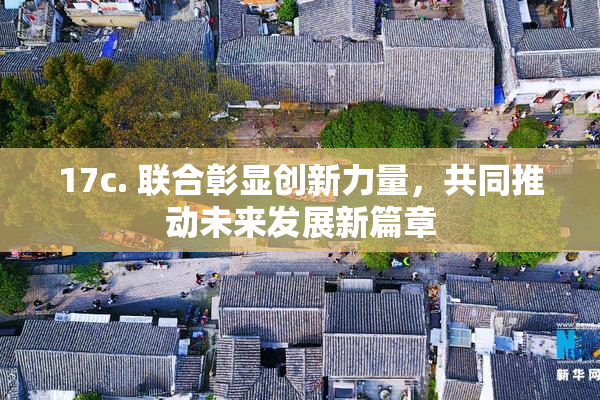 17c. 联合彰显创新力量，共同推动未来发展新篇章