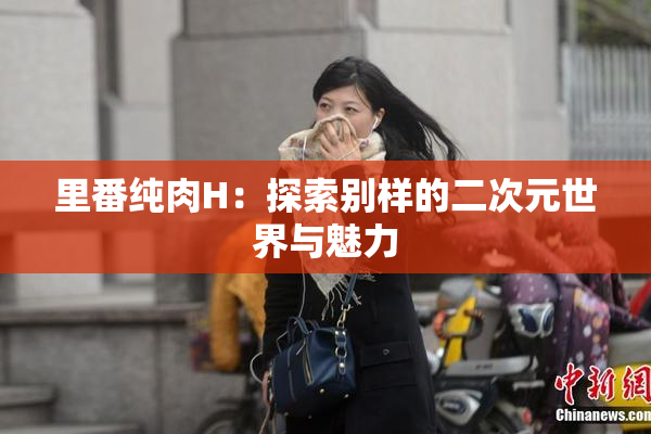 里番纯肉H：探索别样的二次元世界与魅力