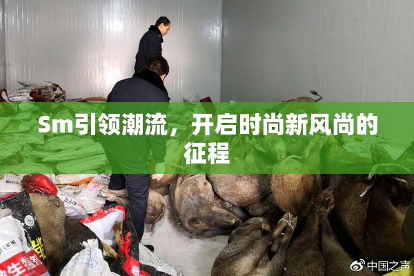 Sm引领潮流，开启时尚新风尚的征程