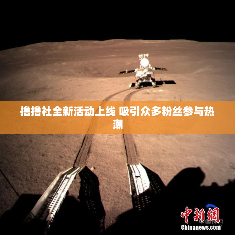 撸撸社全新活动上线 吸引众多粉丝参与热潮