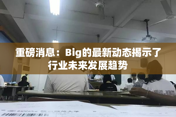 重磅消息：Big的最新动态揭示了行业未来发展趋势