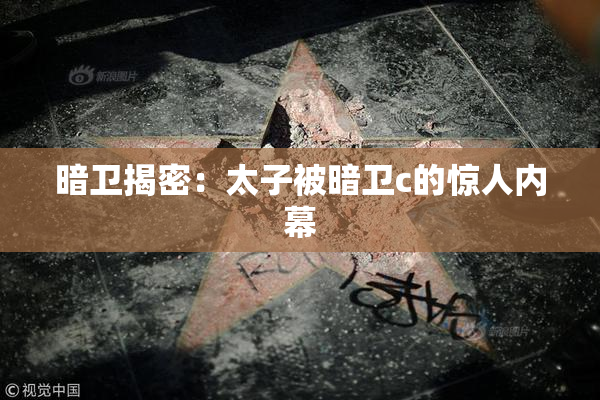暗卫揭密：太子被暗卫c的惊人内幕