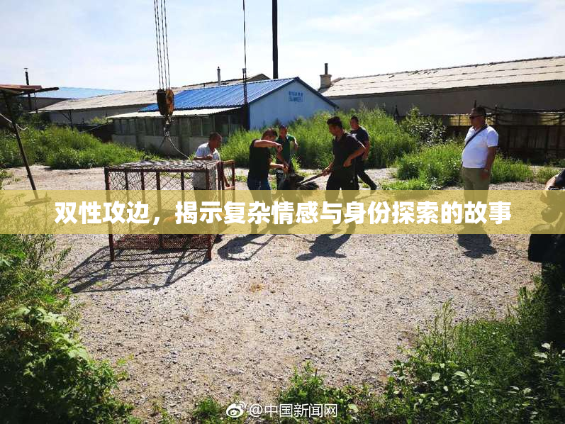 双性攻边，揭示复杂情感与身份探索的故事