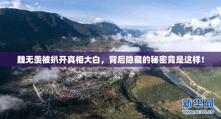 魏无羡被扒开真相大白，背后隐藏的秘密竟是这样！