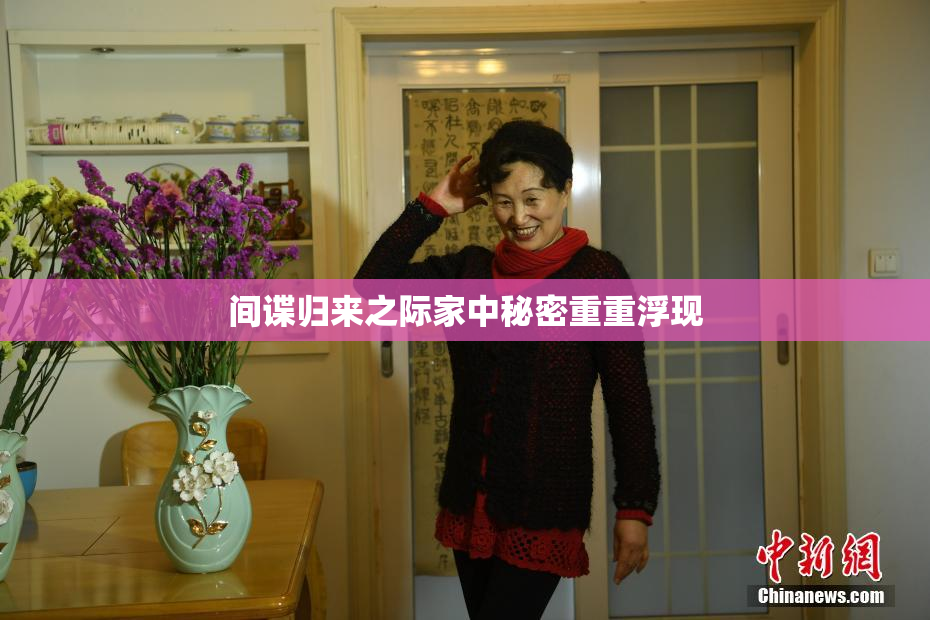 间谍归来之际家中秘密重重浮现