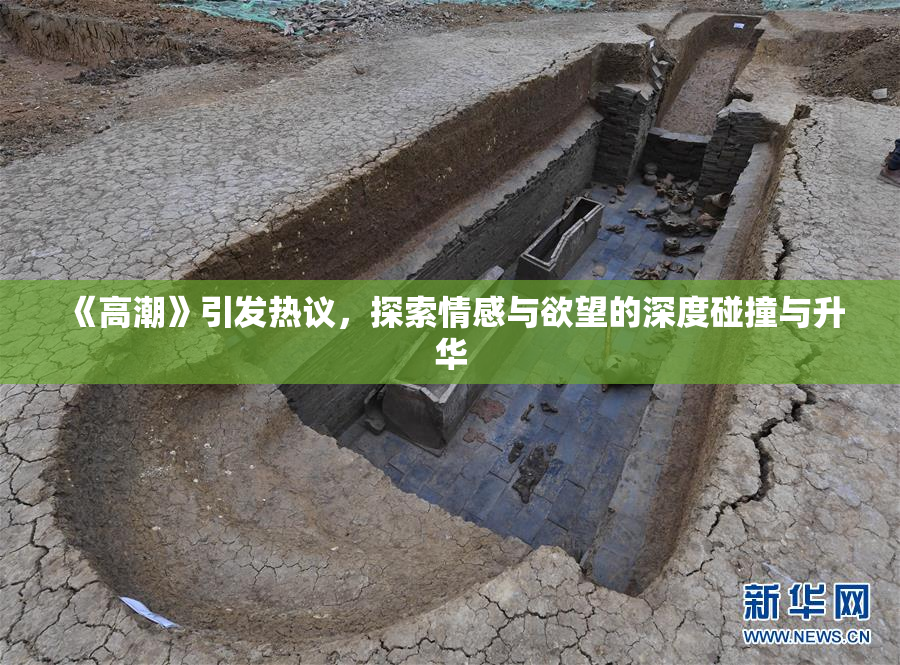 《高潮》引发热议，探索情感与欲望的深度碰撞与升华