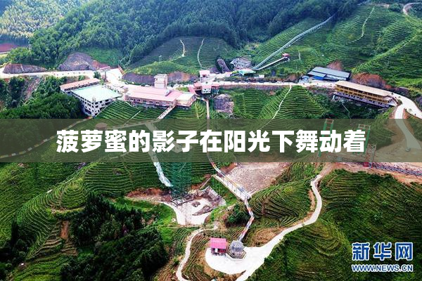 菠萝蜜的影子在阳光下舞动着
