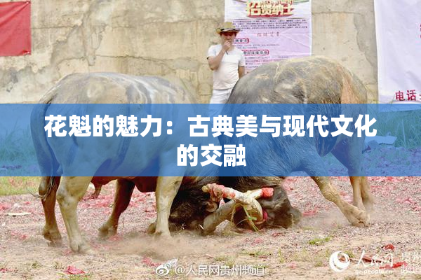 花魁的魅力：古典美与现代文化的交融