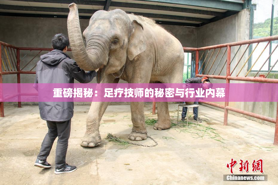重磅揭秘：足疗技师的秘密与行业内幕
