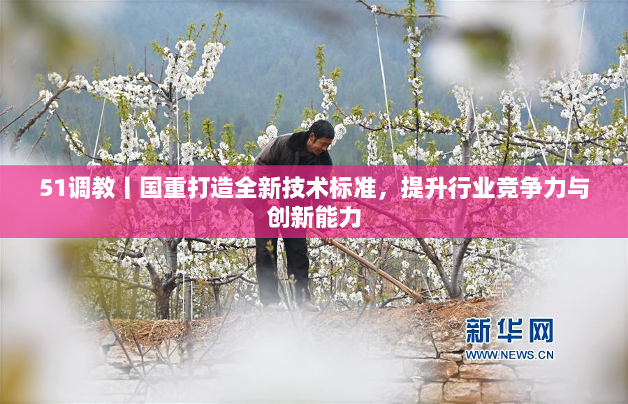 51调教丨国重打造全新技术标准，提升行业竞争力与创新能力