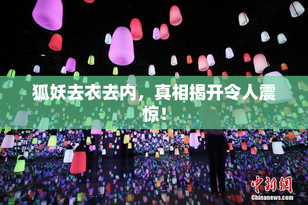 狐妖去衣去内，真相揭开令人震惊！
