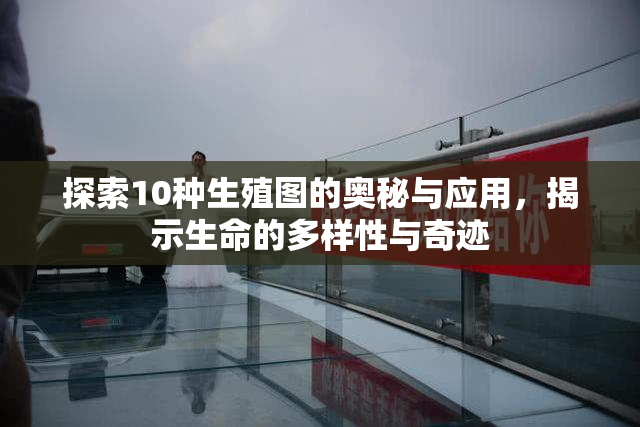 探索10种生殖图的奥秘与应用，揭示生命的多样性与奇迹