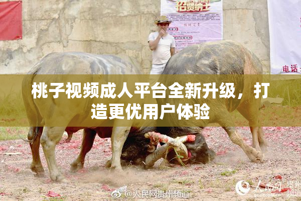 桃子视频成人平台全新升级，打造更优用户体验