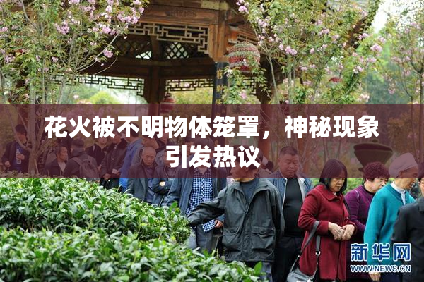 花火被不明物体笼罩，神秘现象引发热议