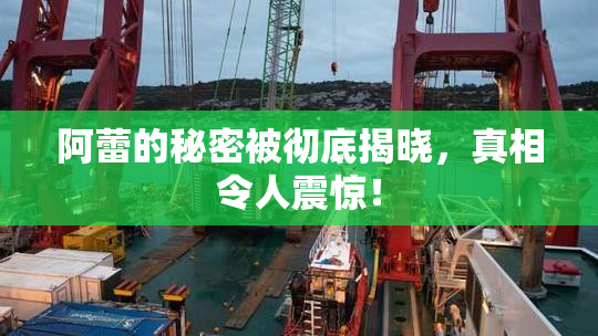 阿蕾的秘密被彻底揭晓，真相令人震惊！