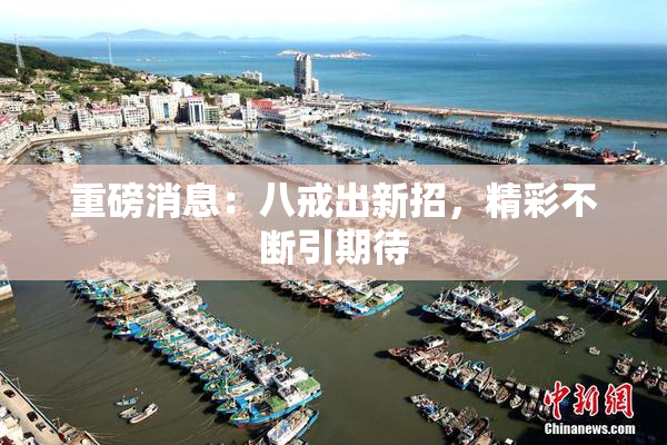 重磅消息：八戒出新招，精彩不断引期待
