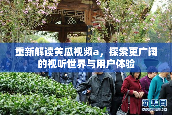 重新解读黄瓜视频a，探索更广阔的视听世界与用户体验