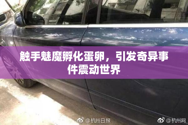 触手魅魔孵化蛋卵，引发奇异事件震动世界