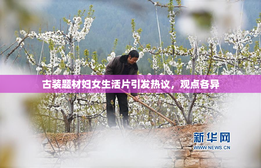 古装题材妇女生活片引发热议，观点各异