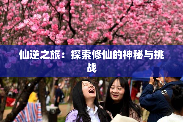 仙逆之旅：探索修仙的神秘与挑战