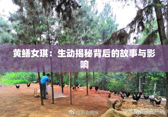 黄鳝女琪：生动揭秘背后的故事与影响