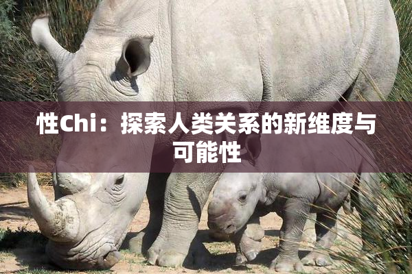 性Chi：探索人类关系的新维度与可能性