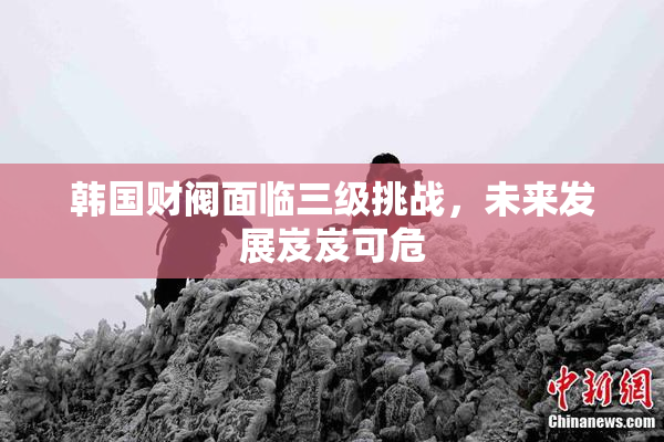 韩国财阀面临三级挑战，未来发展岌岌可危