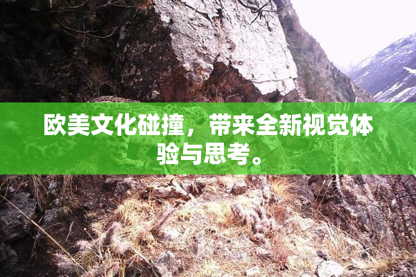 欧美文化碰撞，带来全新视觉体验与思考。